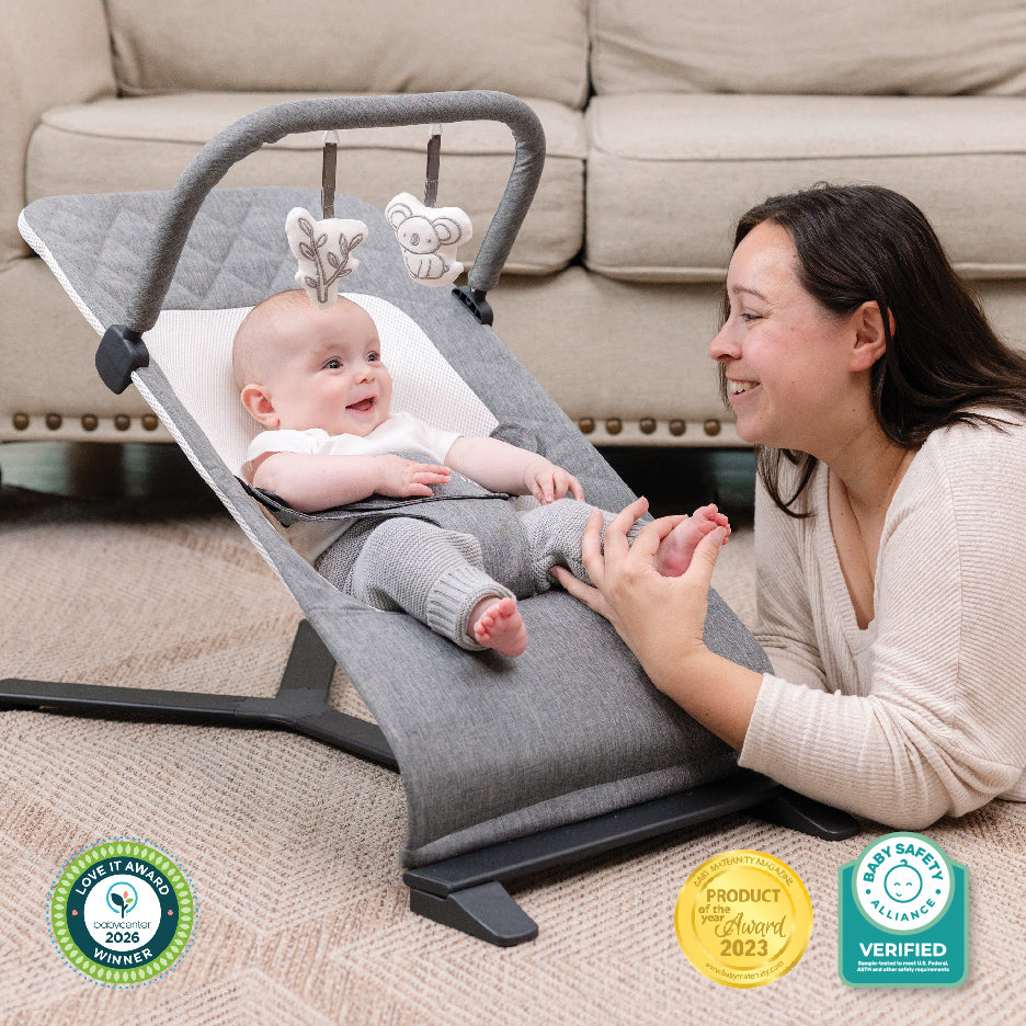 Alpine Deluxe Portable Bouncer