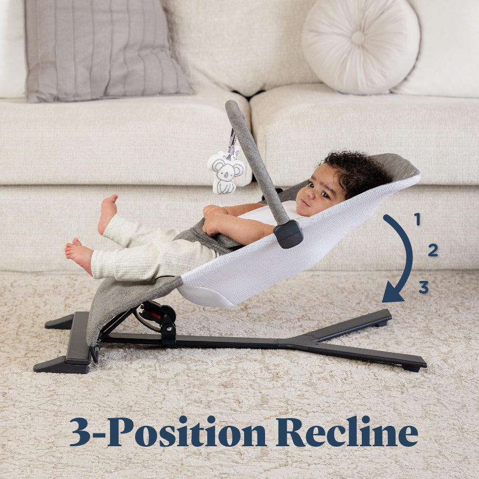 Alpine Deluxe Portable Bouncer