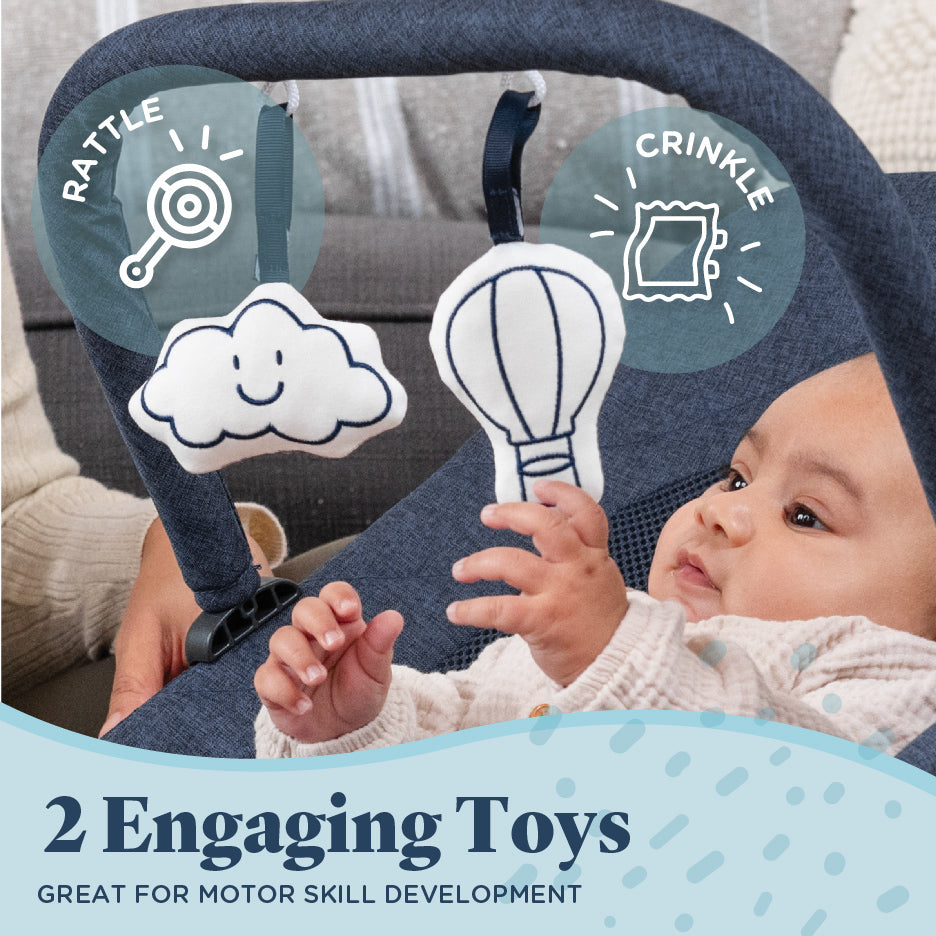 Alpine Deluxe Portable Bouncer - Baby Delight