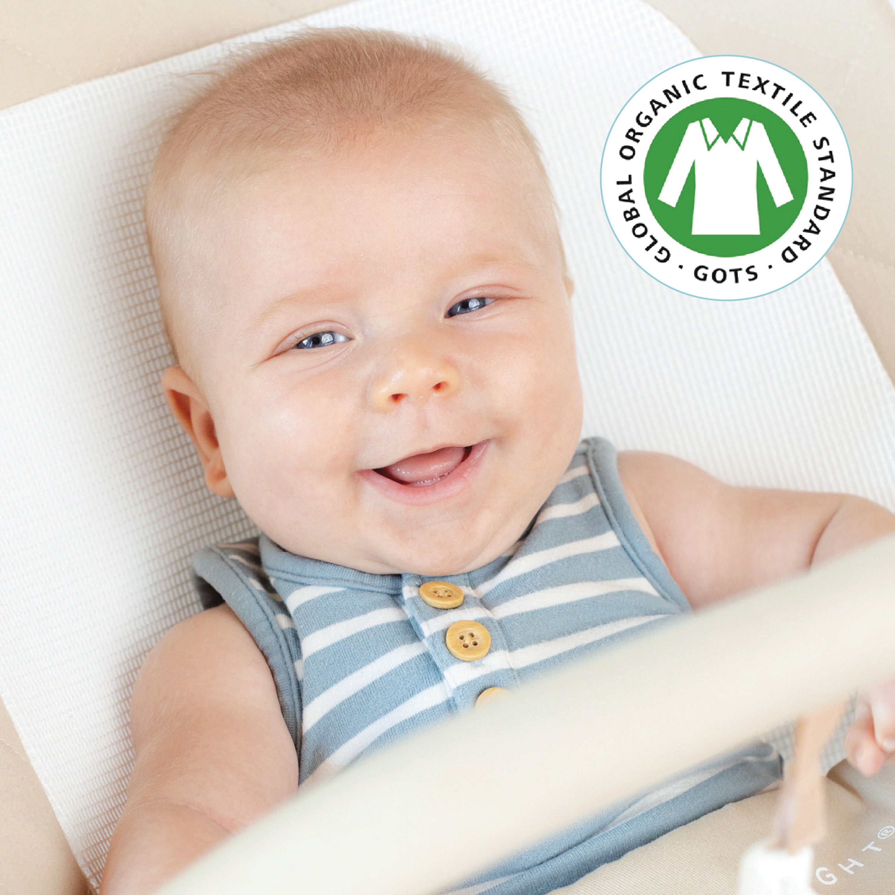 Alpine Organic Deluxe Portable Bouncer - Organic Oat