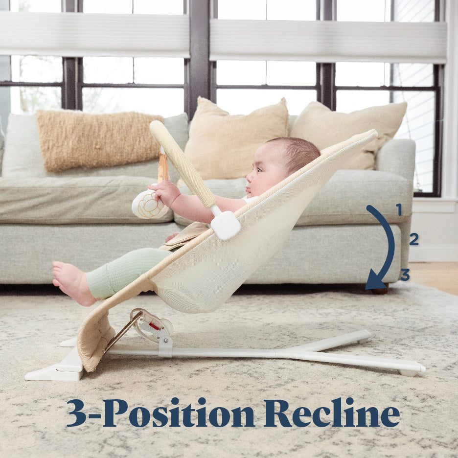 Alpine Organic Deluxe Portable Bouncer - Baby Delight