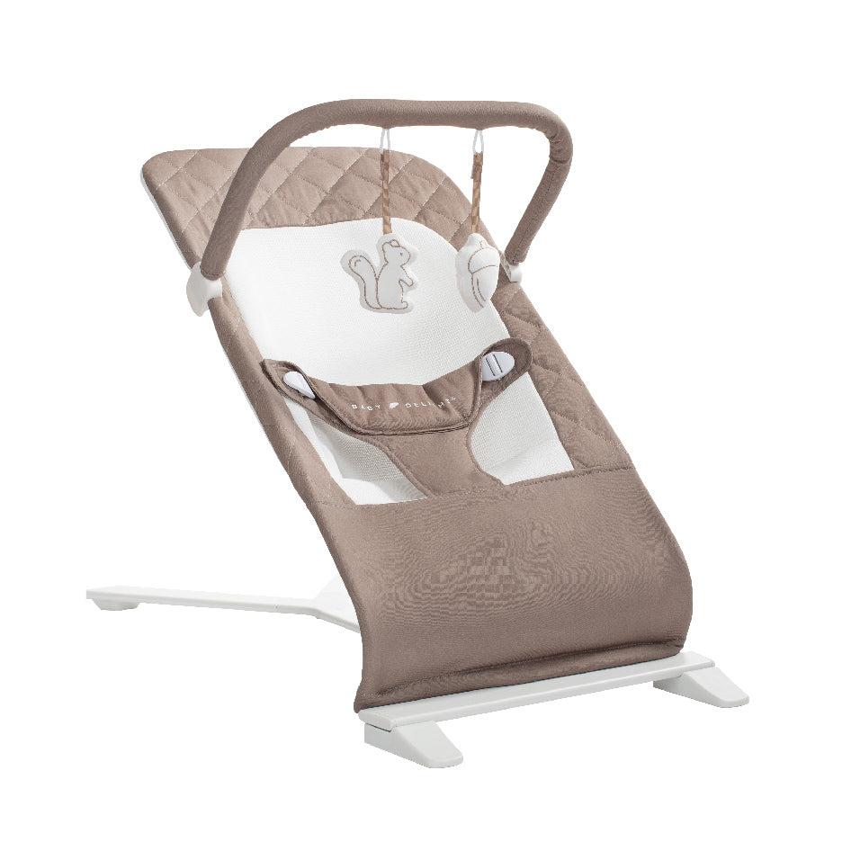 Alpine Organic Deluxe Portable Bouncer
