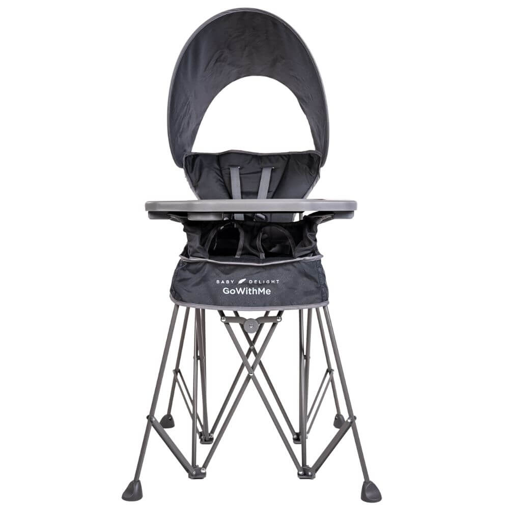 Baby delight go sales with me portable chair