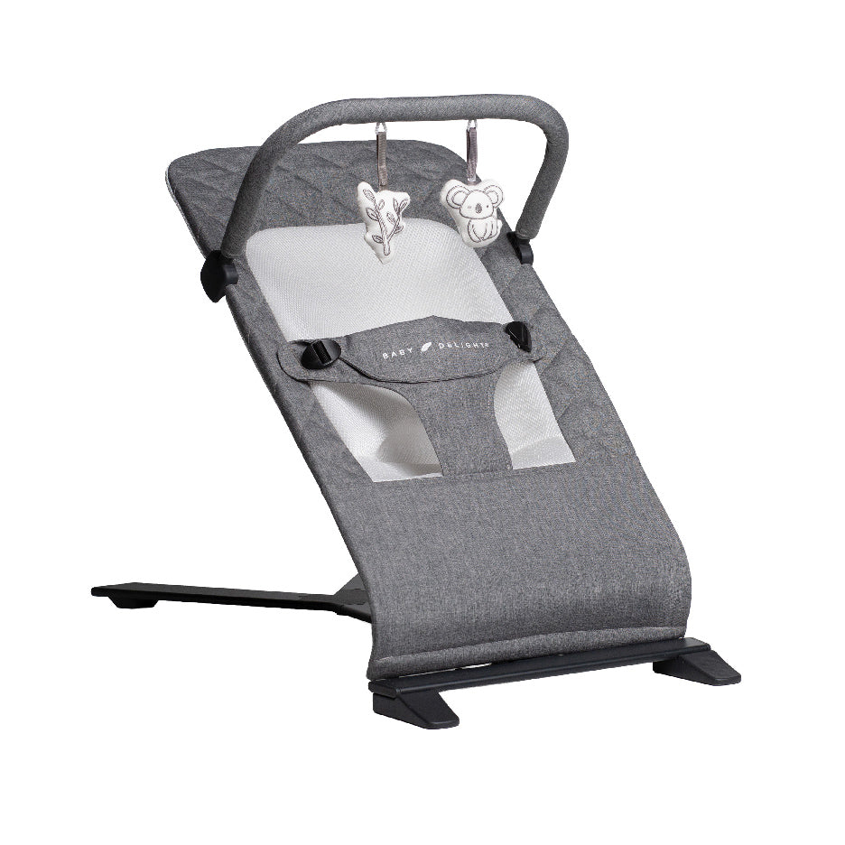 Alpine Deluxe Portable Bouncer