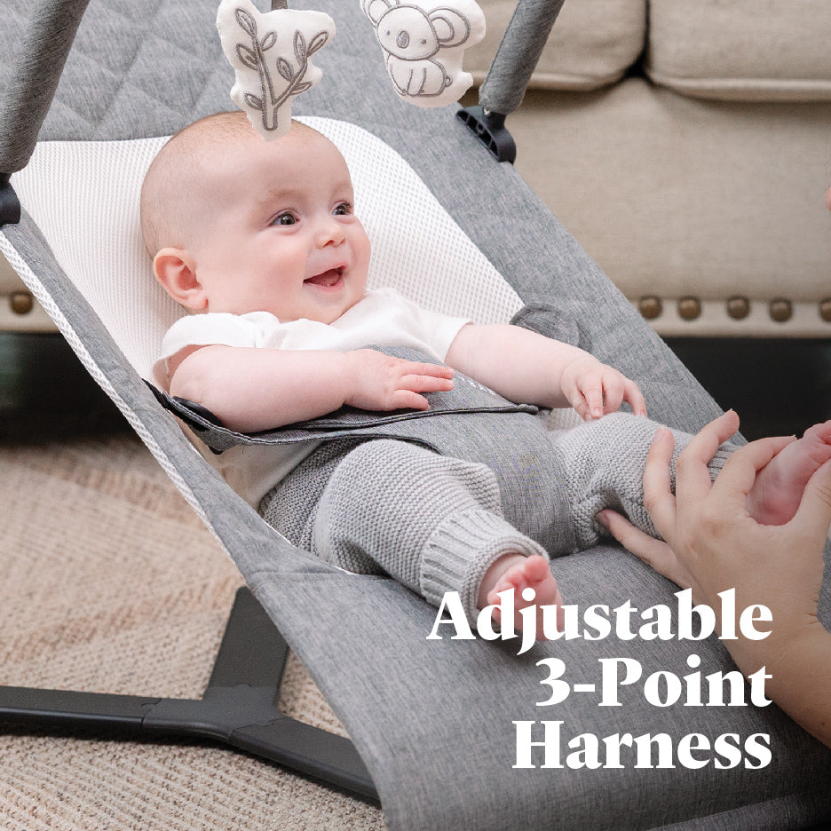 Alpine Deluxe Portable Bouncer