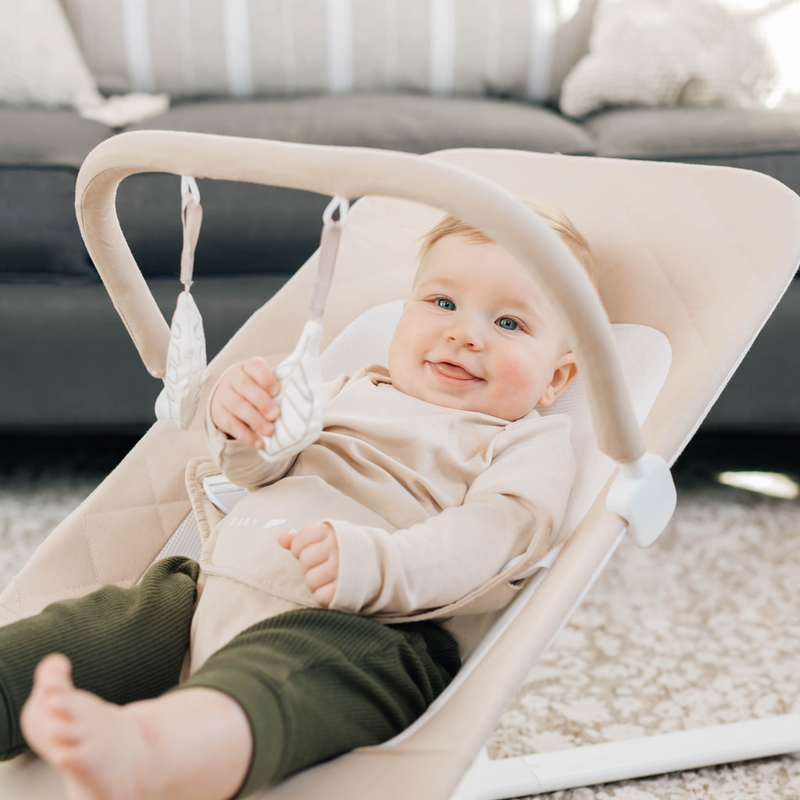 Deluxe Portable Bouncer Organic Oat Baby Delight