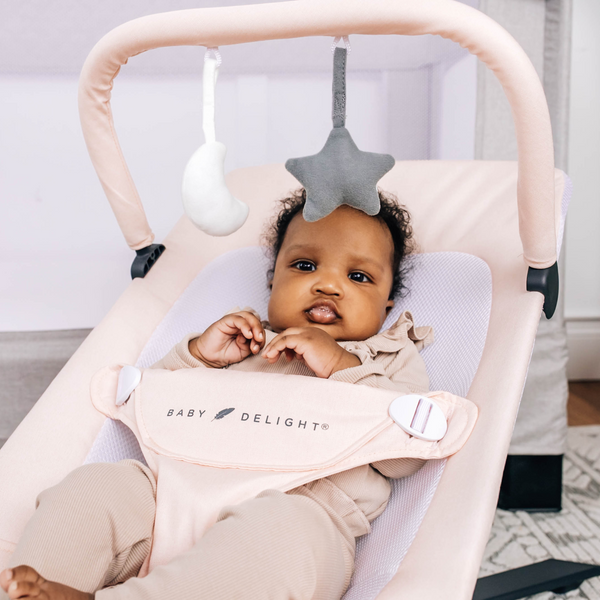 Baby delight beside me dreamer bassinet top & bedside sleeper sheets