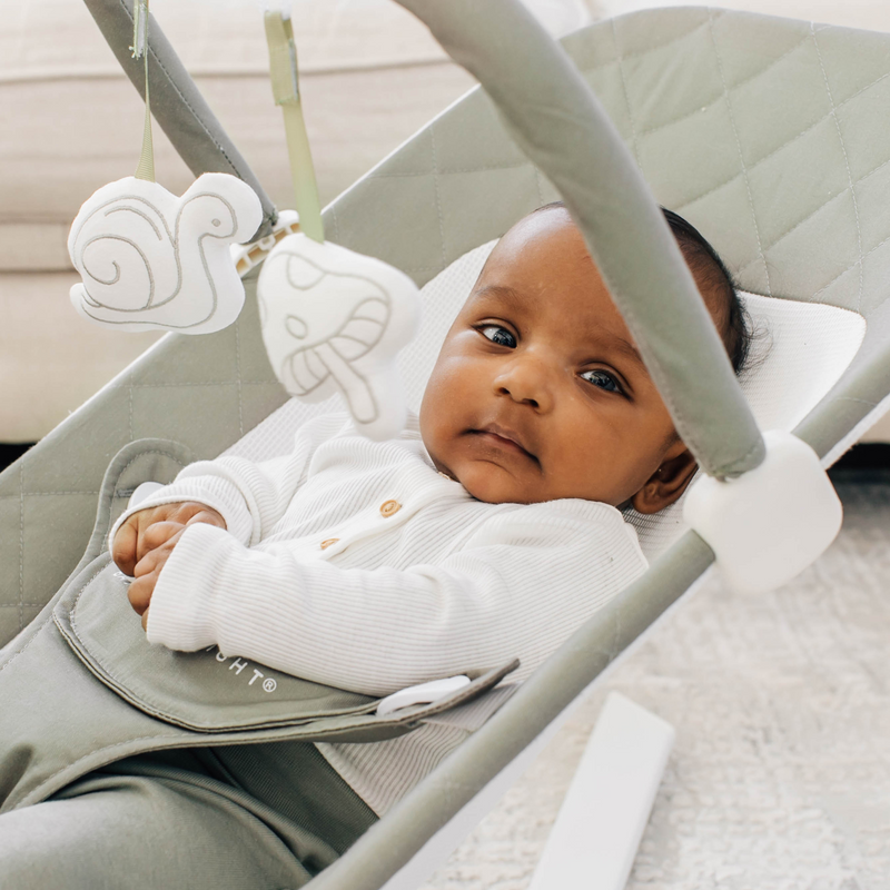 Alpine Organic Deluxe Portable Bouncer - Organic Sage - Baby Delight