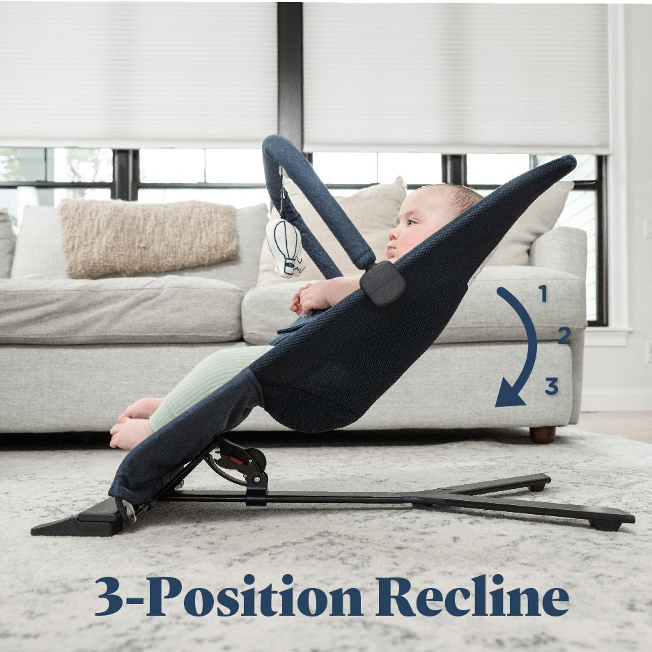Alpine Deluxe Portable Bouncer - Baby Delight