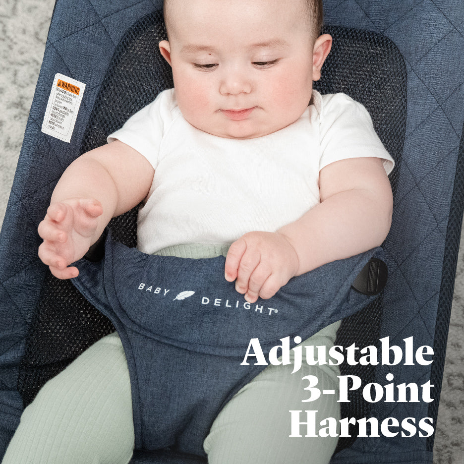 Alpine Deluxe Portable Bouncer - Baby Delight