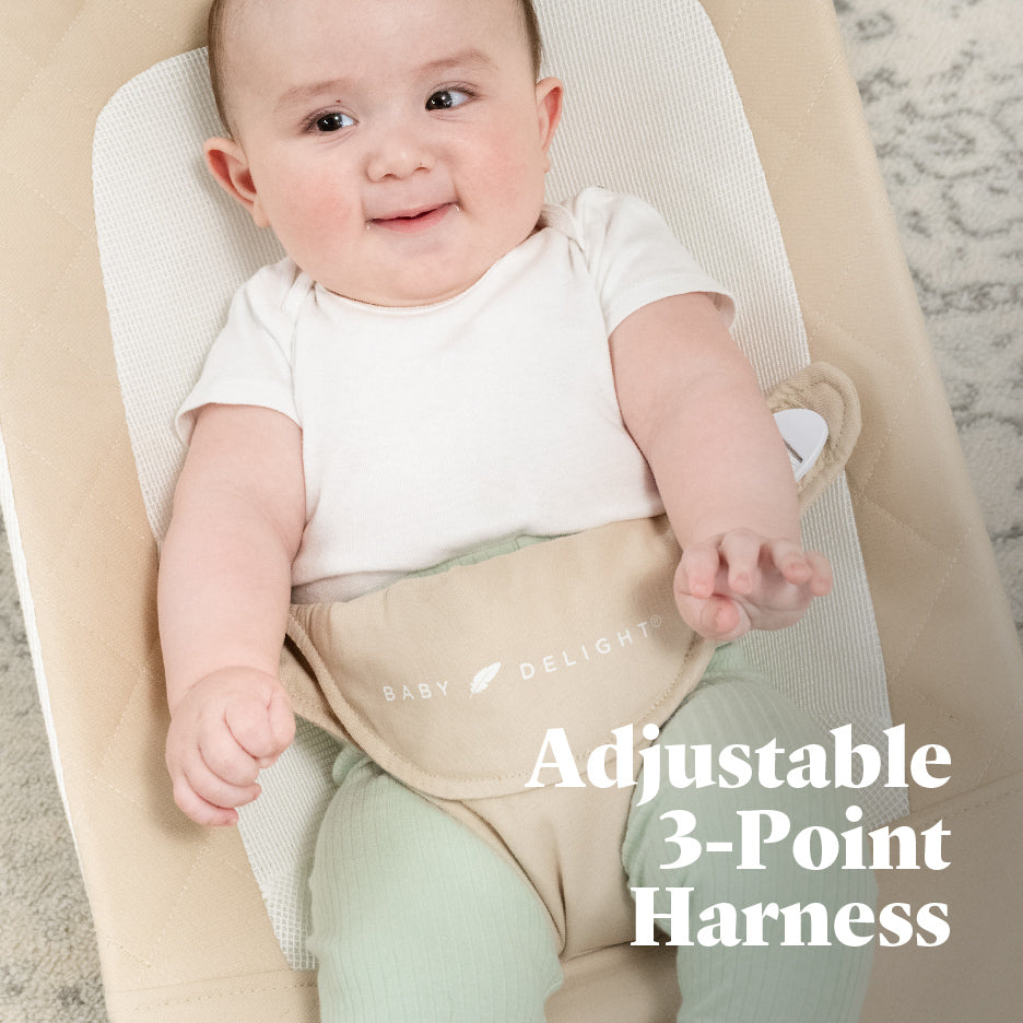 Alpine Organic Deluxe Portable Bouncer - Baby Delight