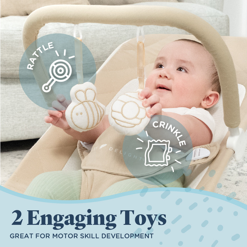 Alpine Organic Deluxe Portable Bouncer - Baby Delight