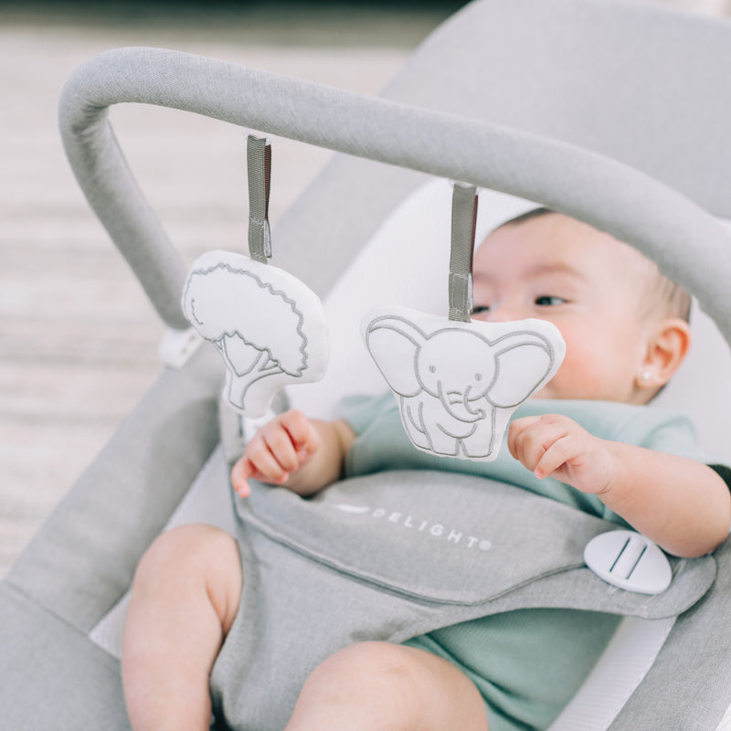 Highland Bouncer - Baby Delight