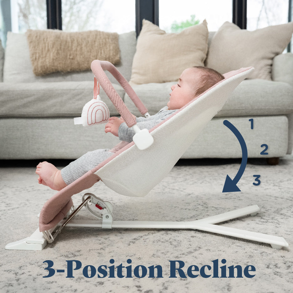 Alpine Organic Deluxe Portable Bouncer - Baby Delight