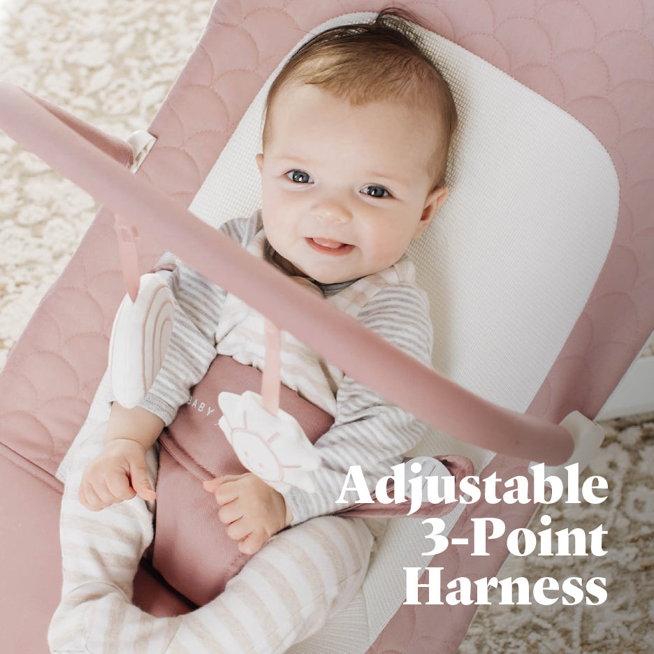 Alpine Organic Deluxe Portable Bouncer - Baby Delight