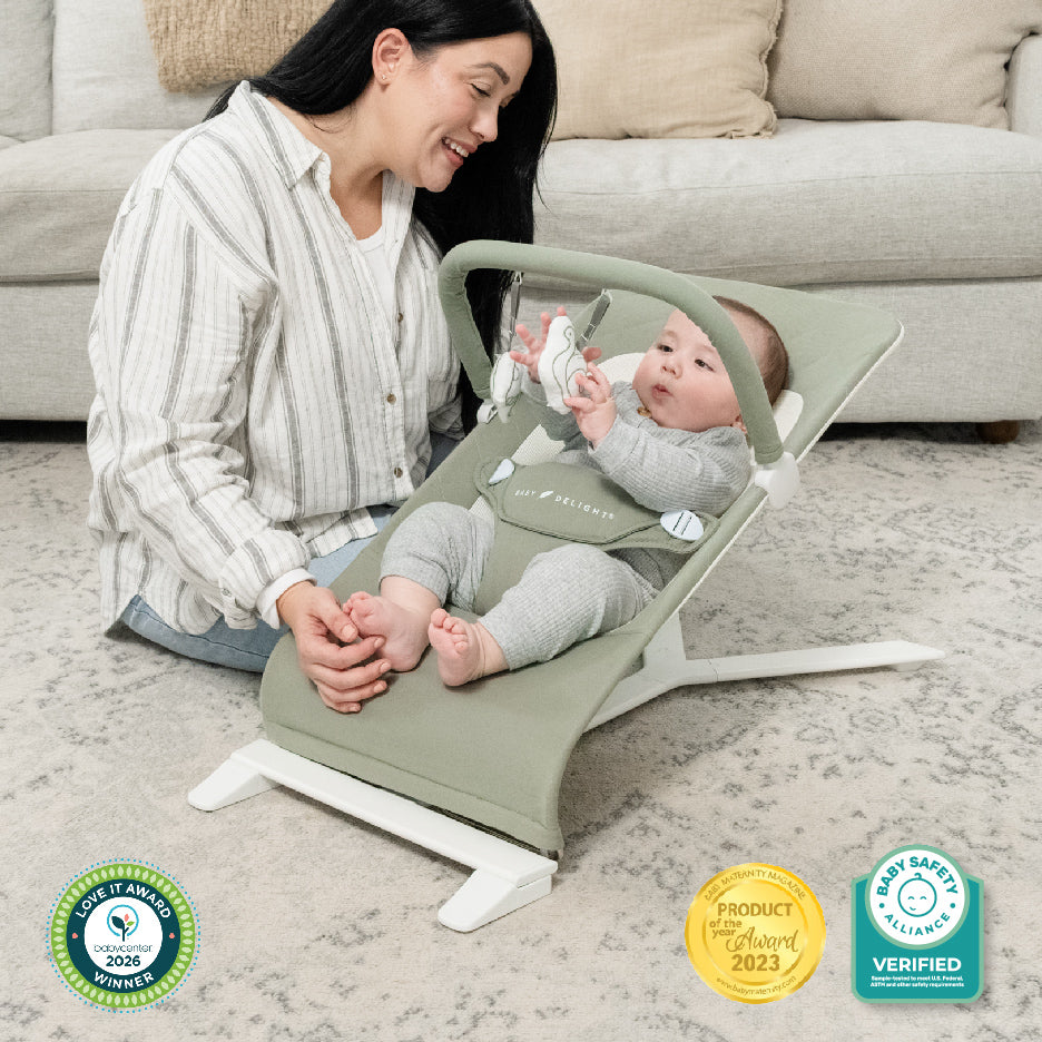 Alpine Organic Deluxe Portable Bouncer