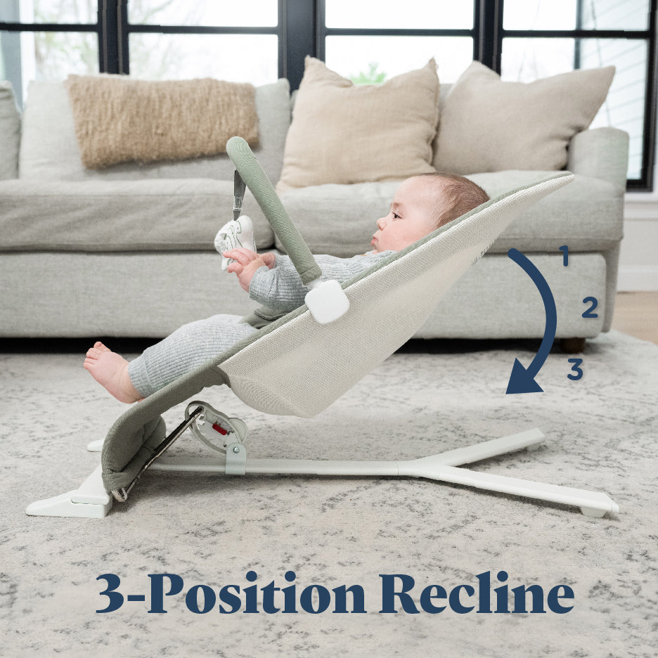 Alpine Organic Deluxe Portable Bouncer - Baby Delight