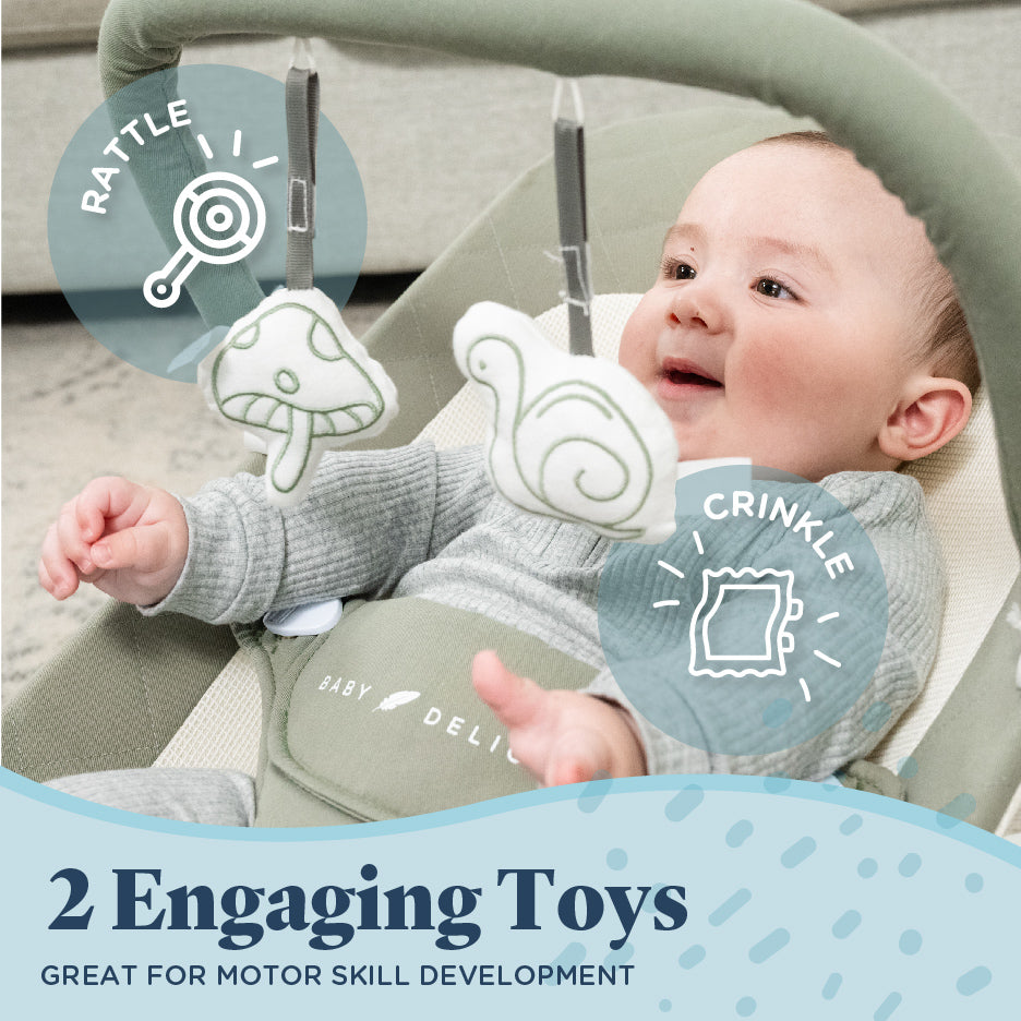 Alpine Organic Deluxe Portable Bouncer - Baby Delight