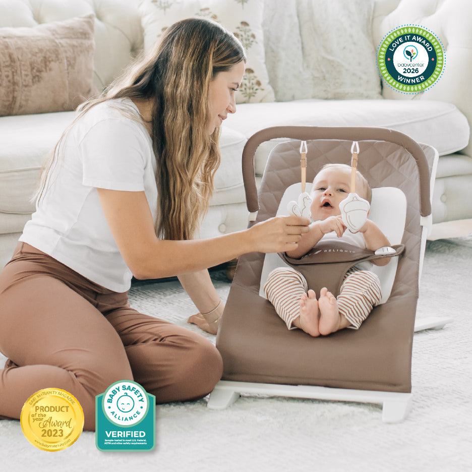 Alpine Organic Deluxe Portable Bouncer