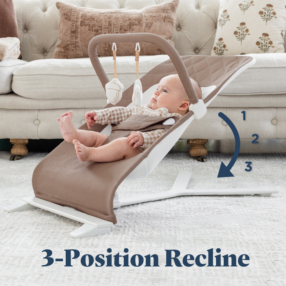 Alpine Organic Deluxe Portable Bouncer