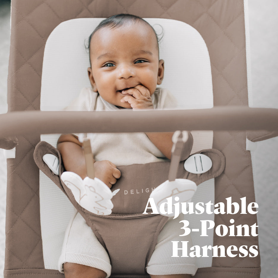 Alpine Organic Deluxe Portable Bouncer