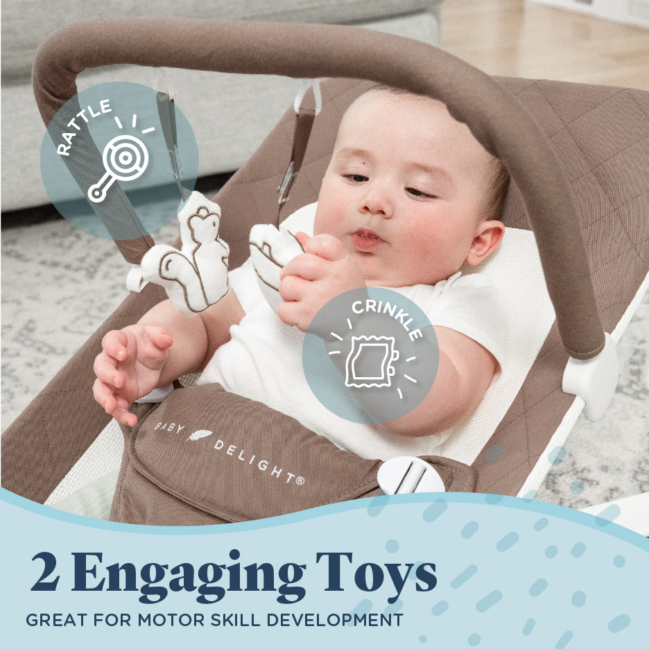 Alpine Organic Deluxe Portable Bouncer