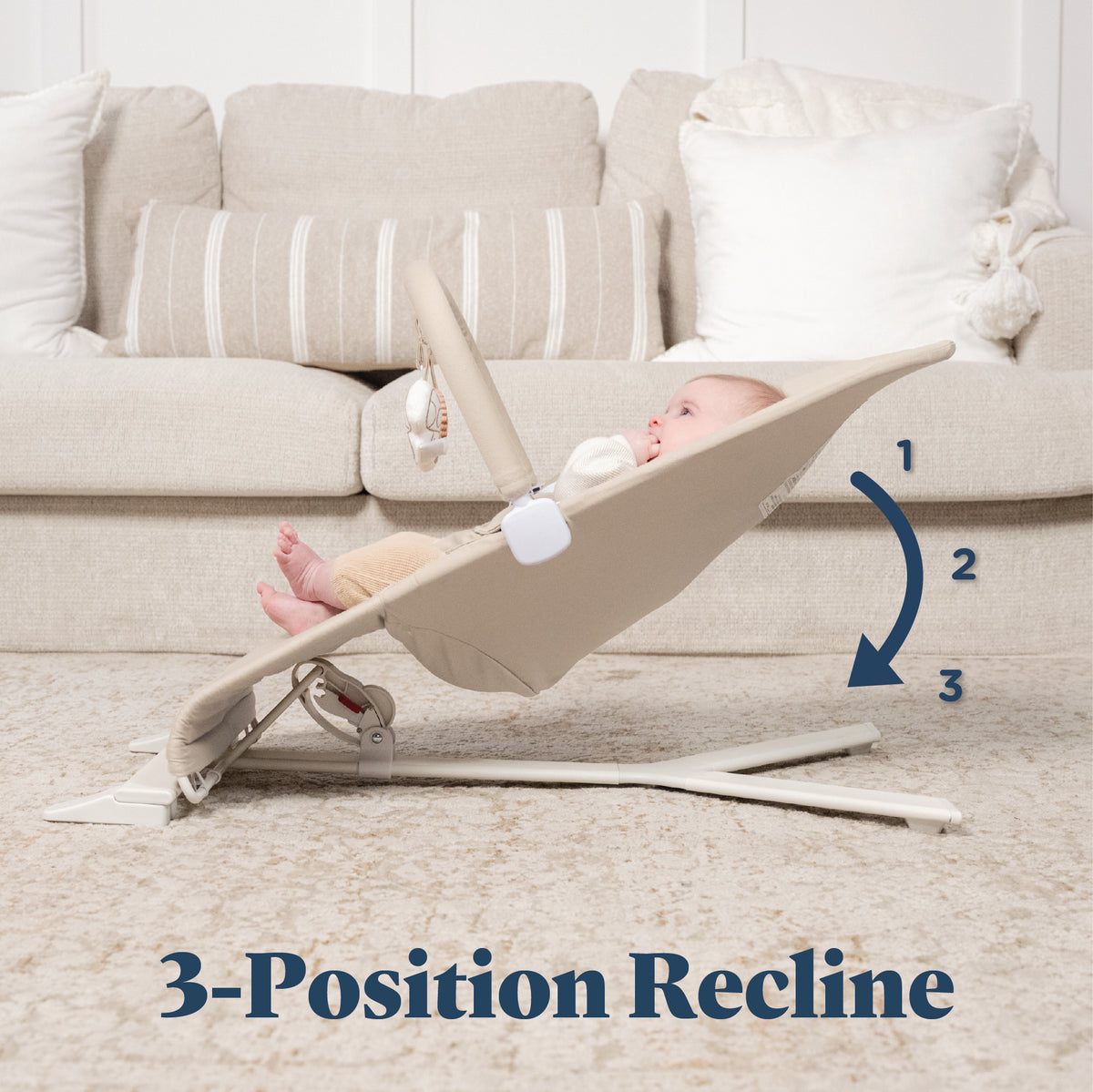 Alpine Organic Deluxe Portable Bouncer - Baby Delight