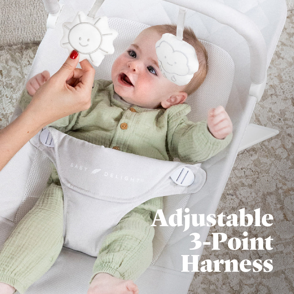 Alpine Deluxe Portable Bouncer - Baby Delight