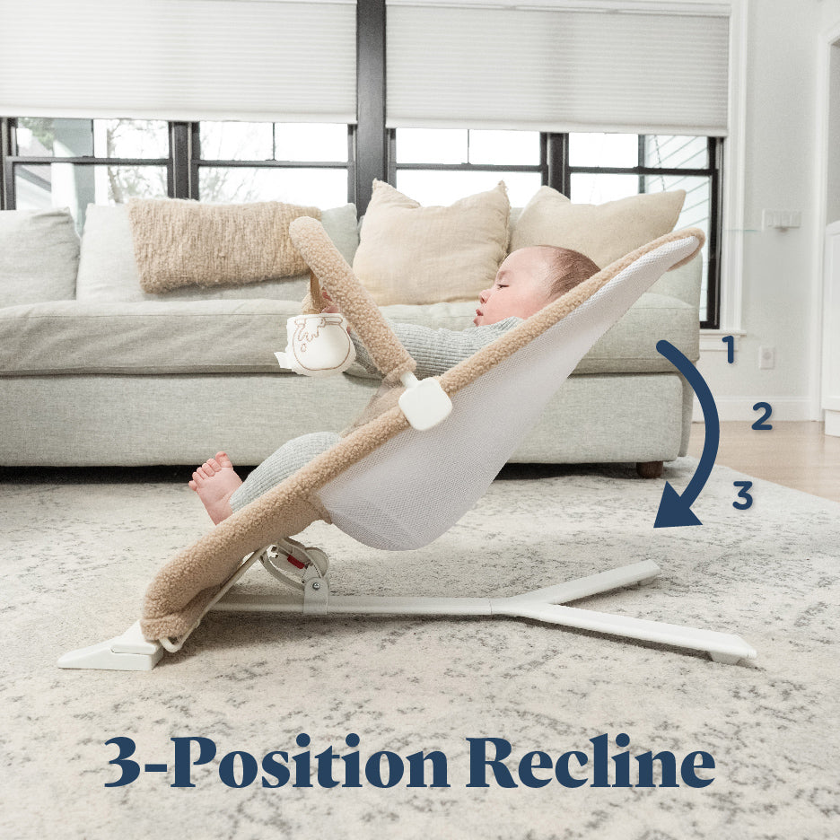 Alpine Deluxe Portable Bouncer - Baby Delight